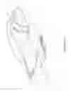Fig. 08 - Convertible top for yacht