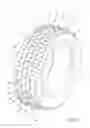 Fig. 02 - Tyre for motor vehicles