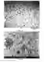 Fig. 02 - Hot-curing epoxy resin compositions that can be used as bodyshell adhesive or structural foam
