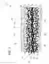 Fig. 02 - PRESS FABRIC