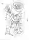 Fig. 02 - Engine unit, and motorcycle equipped therewith