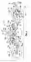 Fig. 02 - Self-propelled vehicle and articulated steerable mobile chassis thereof