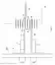 Fig. 10 - Device for the accumulation and release of products, especially products arranged in ranks feeding packaging lines for such products