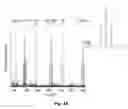 Fig. 05 - Polymeric nanopillars and nanotubes, their manufacture and uses