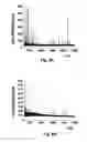 Fig. 12 - Polymeric nanopillars and nanotubes, their manufacture and uses