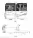 Fig. 03 - Sensors and switches for detecting hydrogen
