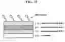 Fig. 12 - Method for detecting analyte, detection apparatus, and test chip