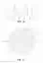 Fig. 06 - Capsule for preparing drinks
