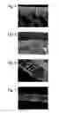 Fig. 05 - FILTRATION MEMBRANE WITH TUBULAR SUPPORT