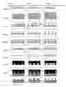 Fig. 07 - IMPRINTING MOLD AND METHOD OF PRODUCING IMPRINTING MOLD