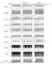 Fig. 08 - IMPRINTING MOLD AND METHOD OF PRODUCING IMPRINTING MOLD