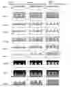 Fig. 09 - IMPRINTING MOLD AND METHOD OF PRODUCING IMPRINTING MOLD