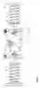 Fig. 07 - Constant bearer
