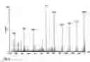 Fig. 07 - Mass spectrometer