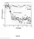 Fig. 28 - 4D imaging in an ultrafast electron microscope