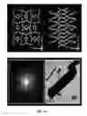 Fig. 34 - 4D imaging in an ultrafast electron microscope