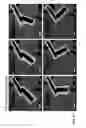 Fig. 35 - 4D imaging in an ultrafast electron microscope