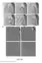 Fig. 31 - Characterization of nanoscale structures using an ultrafast electron microscope
