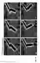 Fig. 35 - Characterization of nanoscale structures using an ultrafast electron microscope