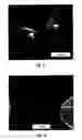 Fig. 12 - Micromechanical devices for materials characterization