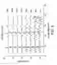 Fig. 08 - REDUCING SCATTERING RELATED FEATURES IN TERHERTZ TIME DOMAIN SPECTROSCOPY BZ AVERAGING THE IMPULSE WAVEFORM OVER A PLURALITY OF SAMPLE POINTS