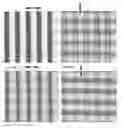 Fig. 01 - Materials and methods for the preparation of anisotropically-ordered solids