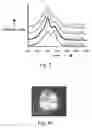 Fig. 04 - Materials and methods for the preparation of anisotropically-ordered solids