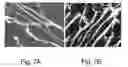 Fig. 08 - Materials and methods for the preparation of anisotropically-ordered solids