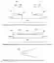 Fig. 04 - Nanotube-Based Structure and Method of Forming the Structure