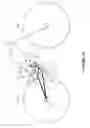 Fig. 02 - Bicycle suspension systems
