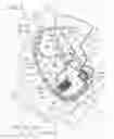 Fig. 03 - Garnish
