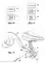 Fig. 07 - Seated skiing or snowboarding device