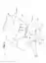 Fig. 04 - Front vehicle body structure