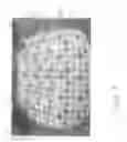 Fig. 09 - Universal booster seat cover