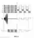 Fig. 05 - Electronic ballast with lamp flicker suppression during start-to-steady state transition