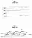 Fig. 03 - Semiconductor memory device and method for generating output enable signal