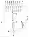 Fig. 10 - SOUNDER CONTROL CIRCUIT, SOUNDER SYSTEM AND METHOD FOR VEHICLE