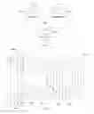 Fig. 06 - Methods and systems for modifying the statistical distribution of symbols in a coded message