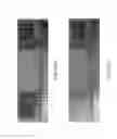 Fig. 63 - METAMATERIAL STRUCTURES WITH MULTILAYER METALLIZATION AND VIA