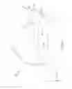 Fig. 07 - Method and system for operating a near-to-eye display
