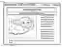 Fig. 01 - Effects applied to images in a browser