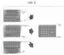 Fig. 09 - Three-dimensional image communication terminal