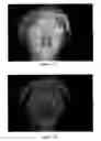 Fig. 08 - Divergence ratio distance mapping camera