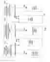 Fig. 07 - Multimode multicarrier modem system and method of communication over the same