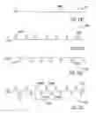 Fig. 149 - Wireless local area network (WLAN) using universal frequency translation technology including multi-phase embodiments