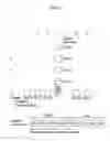 Fig. 07 - Method and apparatus for decoding/encoding a video signal with inter-view reference picture list construction