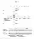 Fig. 08 - Method and apparatus for decoding/encoding a video signal with inter-view reference picture list construction