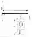 Fig. 11 - Interference cancellation system and method