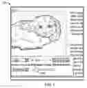 Fig. 09 - Selective image editing in a browser