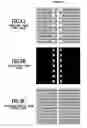 Fig. 09 - Extraction of illumination light image in an image processing apparatus, and image processing method and storage medium therefor